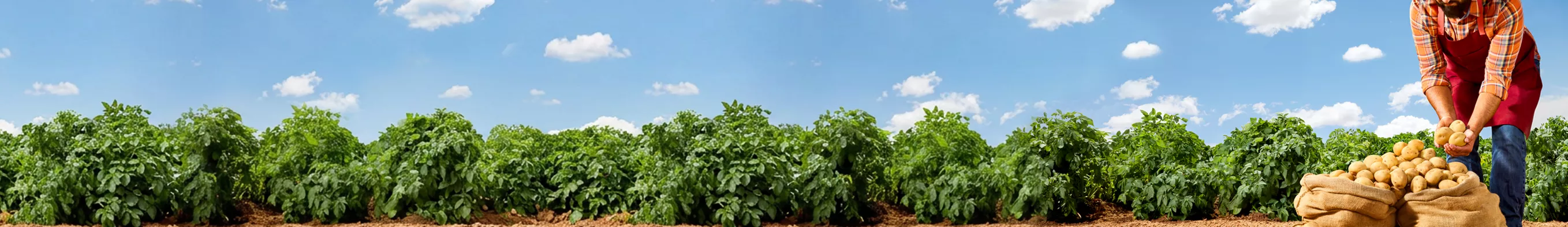 lays-sustainability-2026 banner