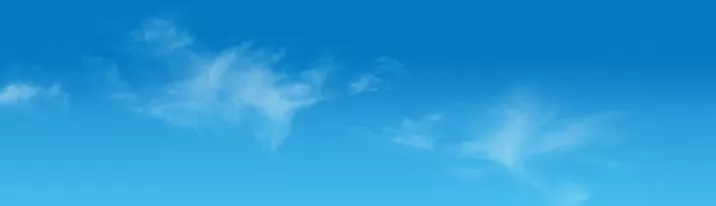 lipton banner