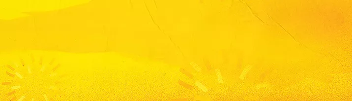 lays banner