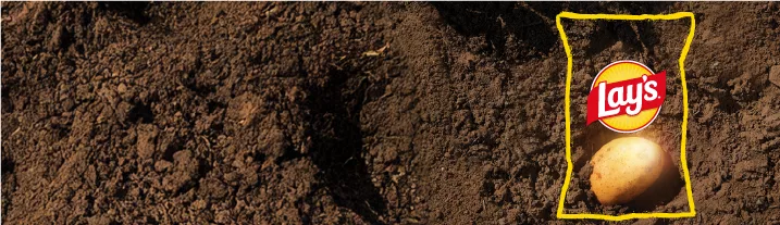 lays-sustainability-2024 banner