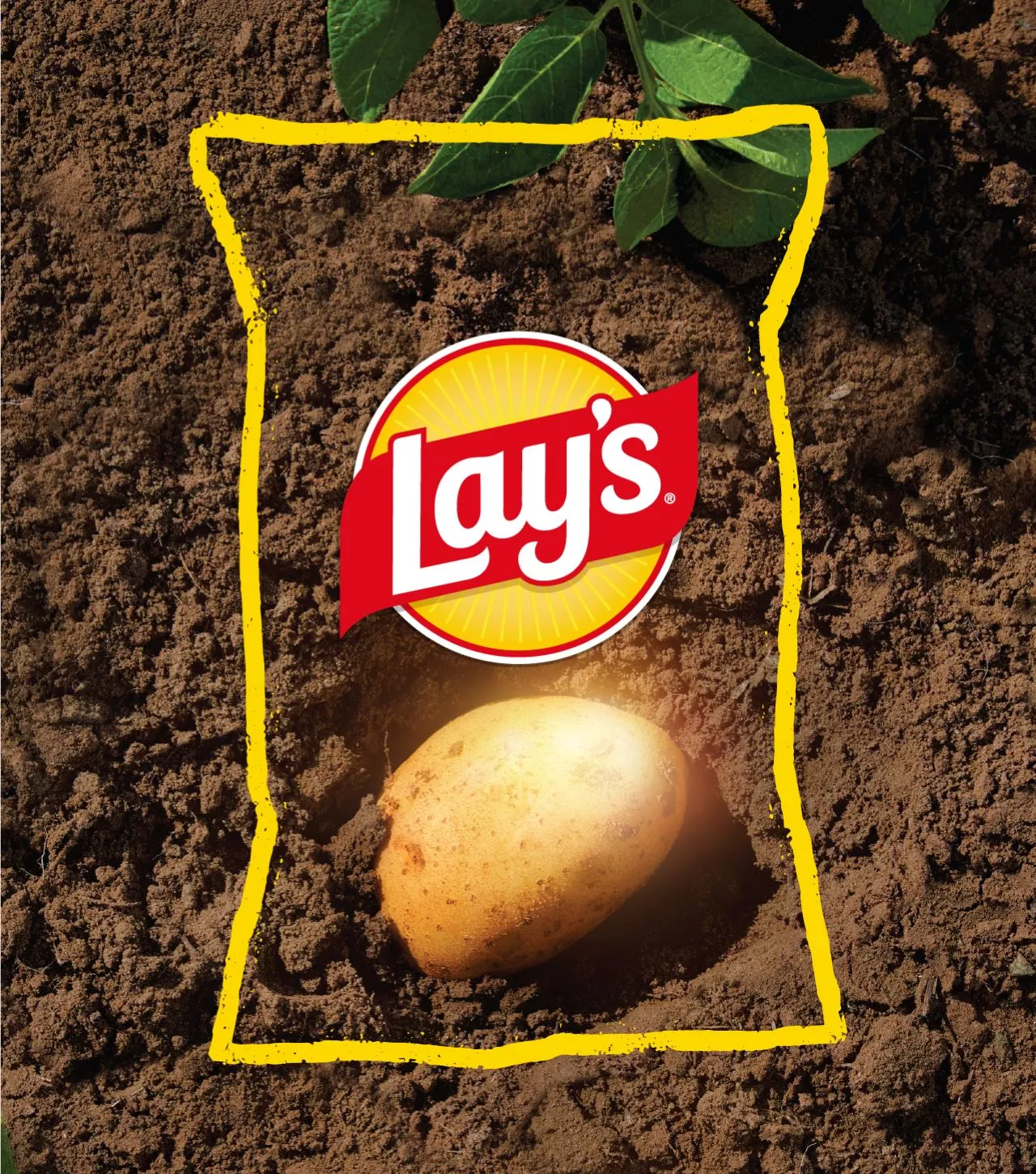 Desktop teaser image