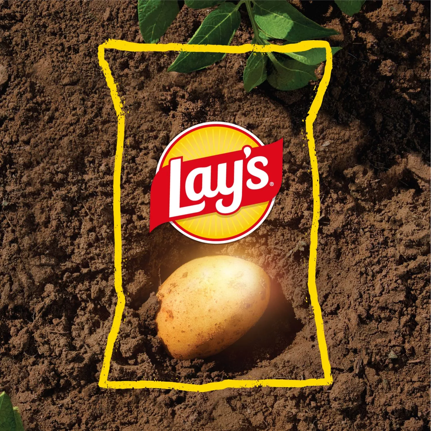 brand teaser lays-sustainability-2024