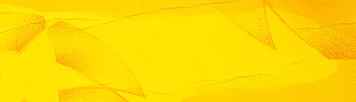 lays-nlng banner