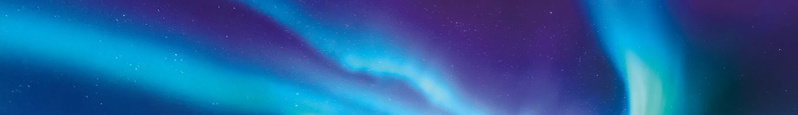 flaminhot banner