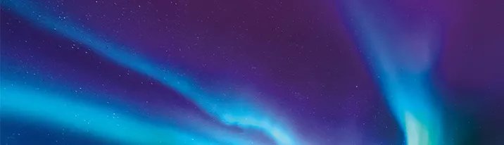 flaminhot banner