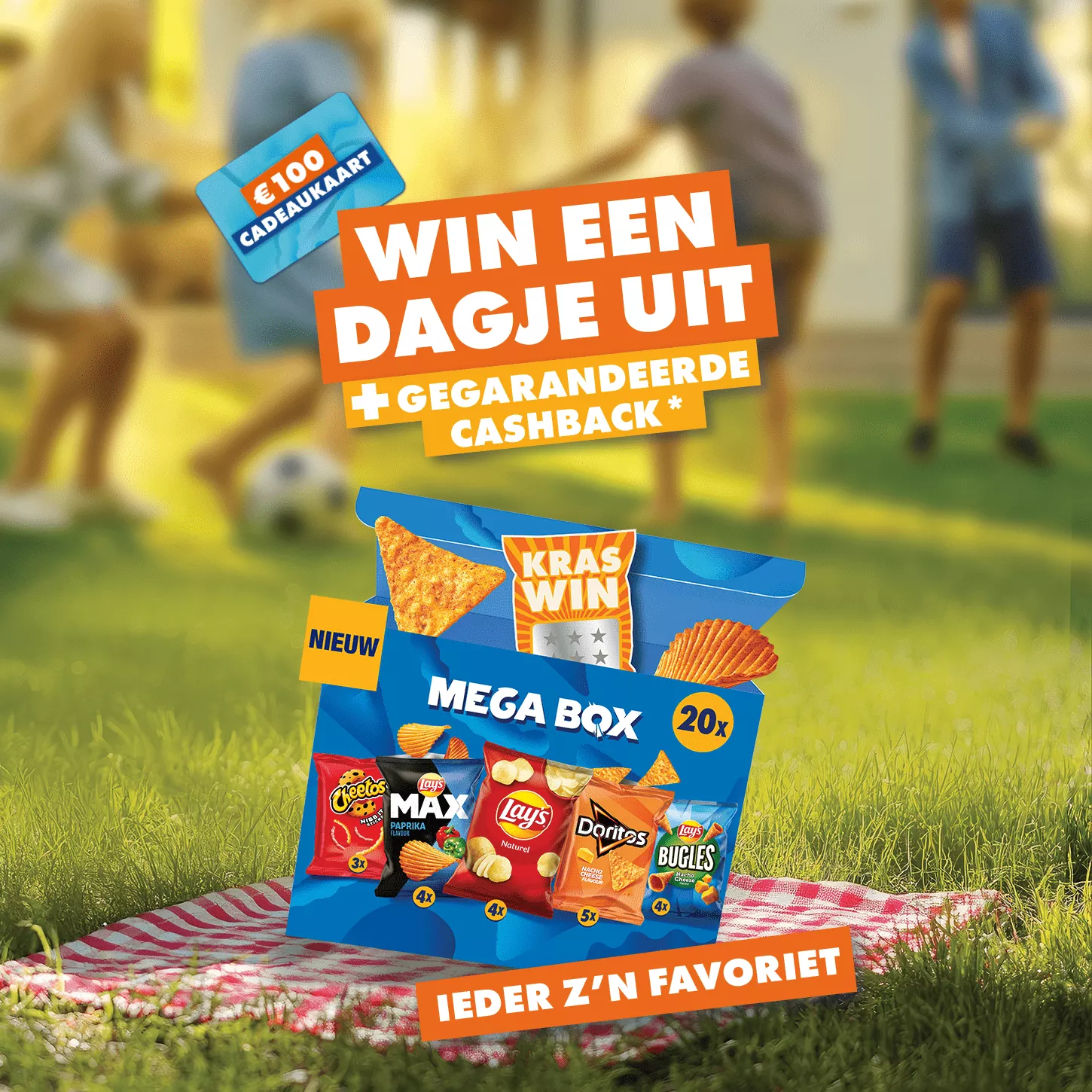 brand teaser lays