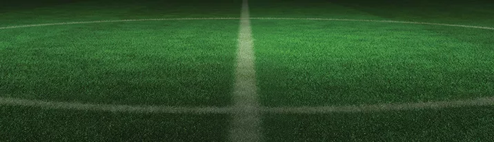 lays banner