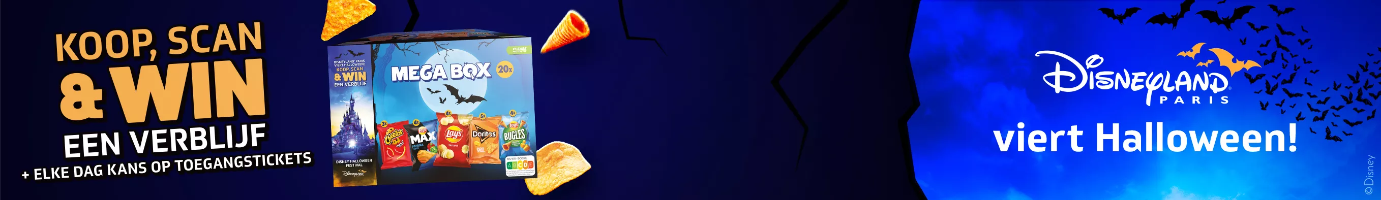 lays banner