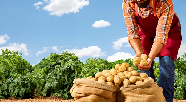 lays-sustainability-2026 banner