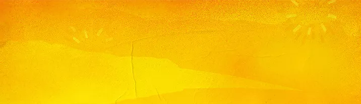lays banner
