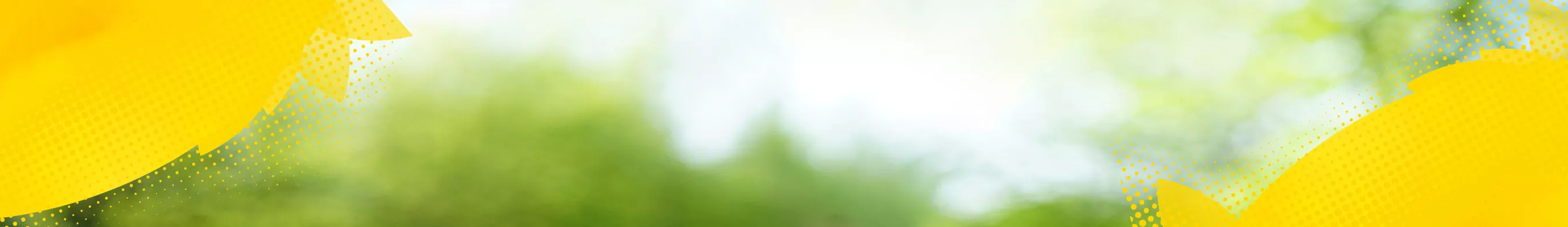 lipton banner