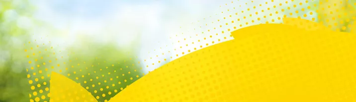 lipton banner