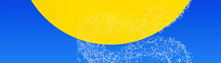 lipton banner