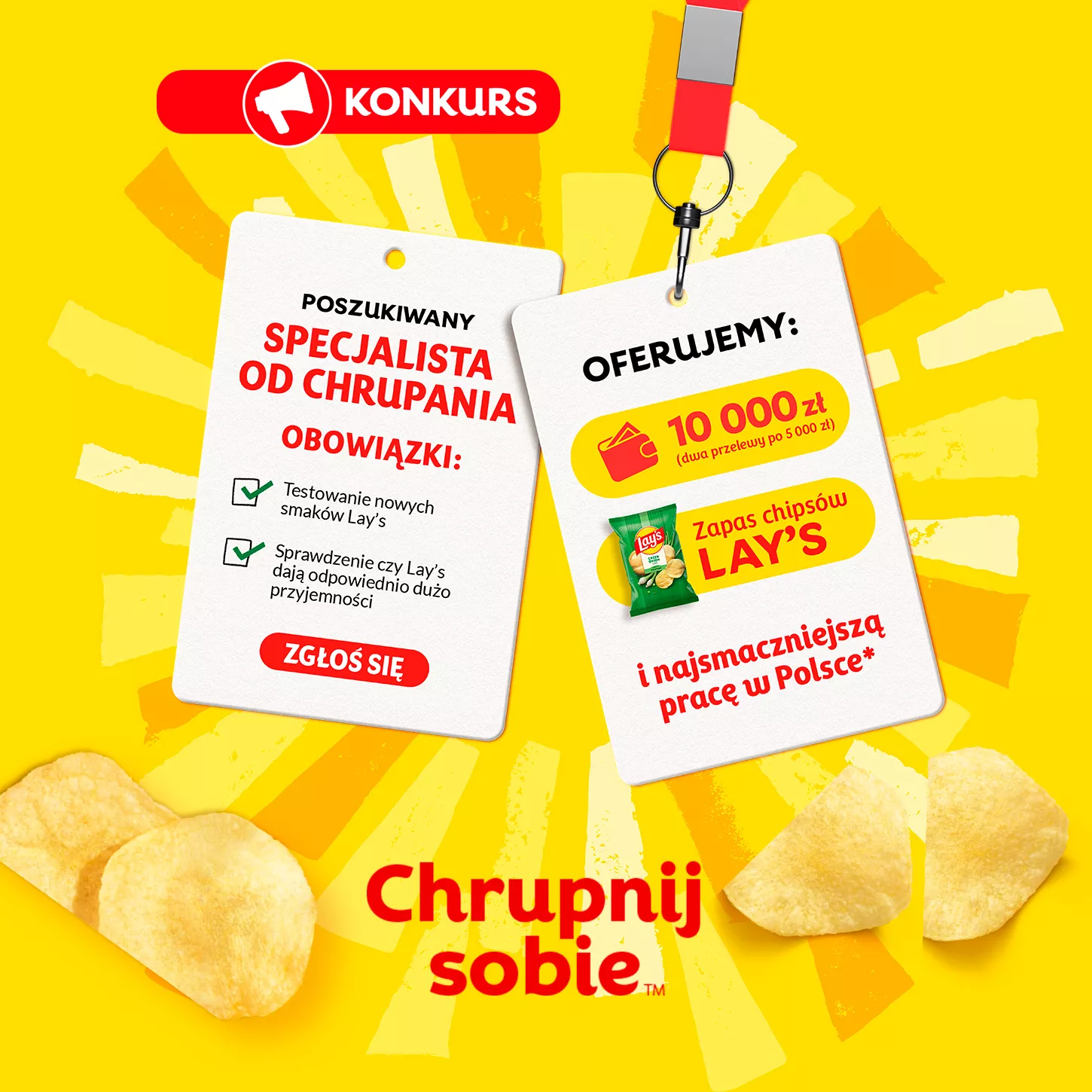 brand teaser lays